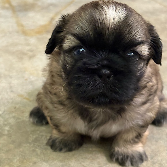 Meet your Posher, Denise - Picture 13 of 16